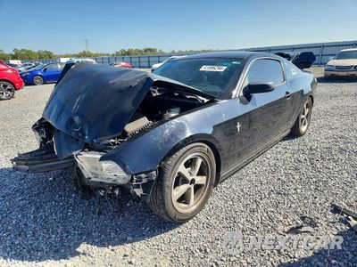 2014 FORD MUSTANG 1ZVBP8AM8E5334076 - główne zdjęcie licytacji z USA - miniatura