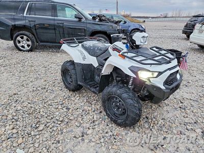2025 KAWASAKI BRUTEFORCE 450 ATV RGSWR32A3SB103546 - główne zdjęcie licytacji z USA - miniatura