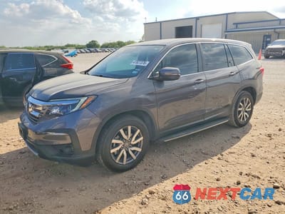 2019 HONDA PILOT EXL 5FNYF5H59KB011355 - główne zdjęcie licytacji z USA - miniatura