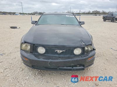 Piąte zdjęcie samochodu w środku: 2005 FORD MUSTANG GT VIN:1ZVHT82H655185822 - miniatura