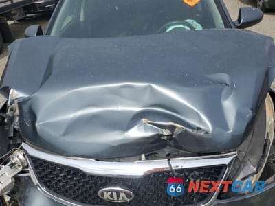 Zdjęcie 12 z 13 samochodu: 2015 KIA SPORTAGE LX VIN:KNDPB3AC6F7707638 - miniatura