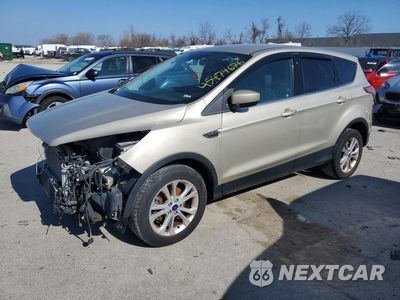 2017 FORD ESCAPE SE 1FMCU0GD9HUB39196 - główne zdjęcie licytacji z USA - miniatura