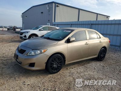 2010 TOYOTA COROLLA LE 1NXBU4EE0AZ320692 - główne zdjęcie licytacji z USA - miniatura