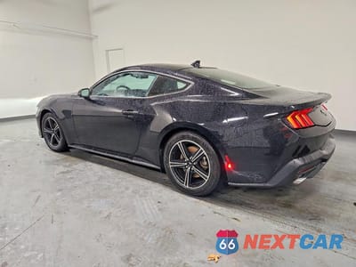 Drugie zdjęcie samochodu z przodu: 2024 FORD MUSTANG VIN:1FA6P8TH0R5106685 - miniatura