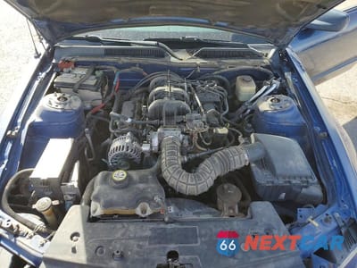 Zdjęcie 11 z 12 samochodu: 2007 FORD MUSTANG VIN:1ZVFT80NX75303308 - miniatura