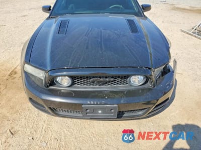 Zdjęcie 11 z 12 samochodu: 2013 FORD MUSTANG GT VIN:1ZVBP8CF8D5213321 - miniatura