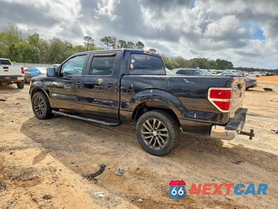 Drugie zdjęcie samochodu z przodu: 2010 FORD F150 SUPERCREW VIN:1FTFW1CVXAFA85174 - miniatura