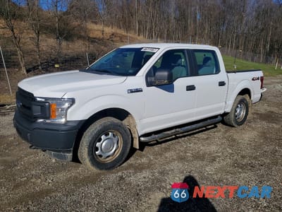 2019 FORD F150 SUPERCREW 1FTEW1EB7KFA82653 - główne zdjęcie licytacji z USA - miniatura