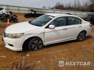 2013 HONDA ACCORD LX 1HGCR2F37DA142279 - główne zdjęcie licytacji z USA - miniatura