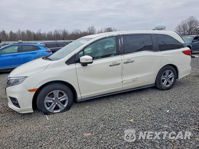 2019 HONDA ODYSSEY EXL 5FNRL6H70KB023155 - główne zdjęcie licytacji z USA - miniatura