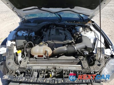 Zdjęcie 11 z 13 samochodu: 2019 FORD MUSTANG VIN:1FA6P8TH7K5172561 - miniatura