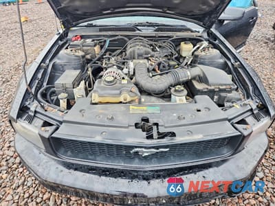 Zdjęcie 11 z 13 samochodu: 2007 FORD MUSTANG VIN:1ZVFT80N575338614 - miniatura