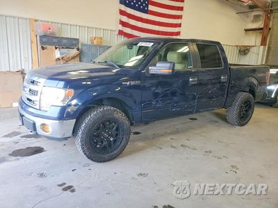 2014 FORD F150 SUPERCREW 1FTFW1E62EFA35896 - główne zdjęcie licytacji z USA - miniatura
