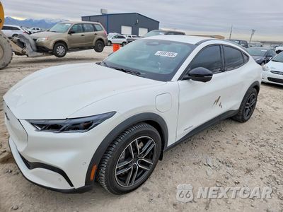 2024 FORD MUSTANG MACH-E SELECT 3FMTK1R47RMA02353 - główne zdjęcie licytacji z USA - miniatura