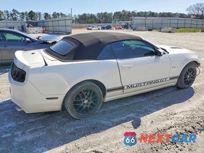 Trzecie zdjęcie samochodu z tyłu: 2013 FORD MUSTANG GT VIN:1ZVBP8FF6D5213037 - miniatura