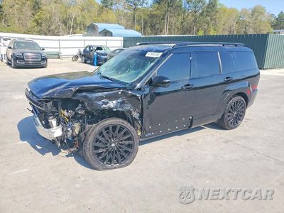 2025 HYUNDAI SANTA FE CALLIGRAPHY 5NMP54GLXSH119331 - główne zdjęcie licytacji z USA - miniatura