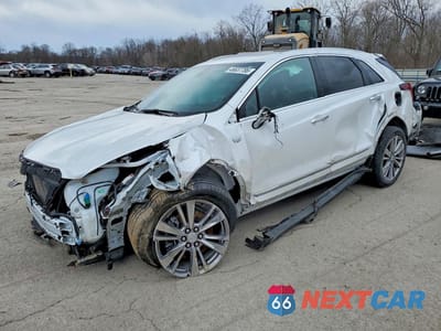 2024 CADILLAC XT5 PREMIUM LUXURY AWD 1GYKNDRSXRZ723234 - główne zdjęcie licytacji z USA - miniatura