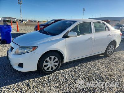 2010 TOYOTA COROLLA LE JTDBU4EE7A9109691 - główne zdjęcie licytacji z USA - miniatura