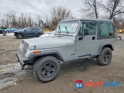 1994 JEEP WRANGLER / YJ SE 1J4FY29S6RP438796 - główne zdjęcie licytacji z USA - miniatura