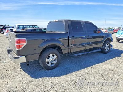 Trzecie zdjęcie samochodu z tyłu: 2013 FORD F150 SUPERCREW VIN:1FTEW1CM2DFC51002 - miniatura
