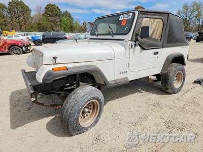 1994 JEEP WRANGLER / YJ S 1J4FY19P3RP421394 - główne zdjęcie licytacji z USA - miniatura