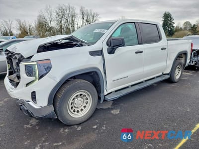 2023 GMC SIERRA K1500 1GTPUAEK2PZ205912 - główne zdjęcie licytacji z USA - miniatura