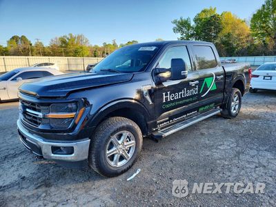 2025 FORD F150 XLT 1FTFW3LD6SFA10458 - główne zdjęcie licytacji z USA - miniatura