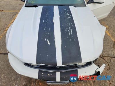 Zdjęcie 11 z 12 samochodu: 2012 FORD MUSTANG GT VIN:1ZVBP8CF5C5263494 - miniatura