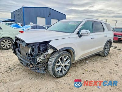 2020 HYUNDAI PALISADE SEL KM8R34HE6LU162312 - główne zdjęcie licytacji z USA - miniatura