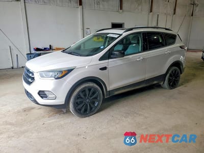 2017 FORD ESCAPE SE 1FMCU9G93HUA98547 - główne zdjęcie licytacji z USA - miniatura