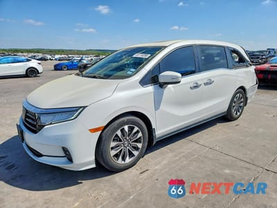 2023 HONDA ODYSSEY EXL 5FNRL6H65PB035915 - główne zdjęcie licytacji z USA - miniatura