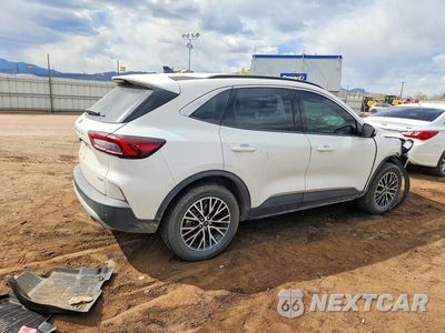 Trzecie zdjęcie samochodu z tyłu: 2024 FORD ESCAPE VIN:1FMCU0E14RUB39374 - miniatura