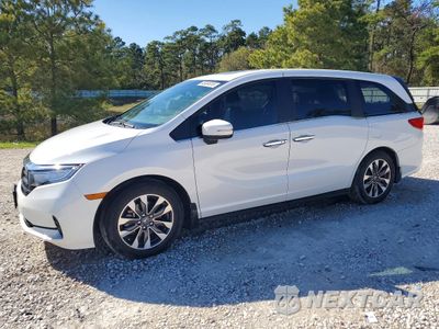 2024 HONDA ODYSSEY EXL 5FNRL6H67RB043548 - główne zdjęcie licytacji z USA - miniatura