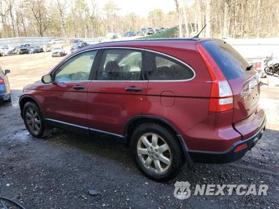 Drugie zdjęcie samochodu z przodu: 2009 HONDA CR-V EX VIN:5J6RE48519L030470 - miniatura