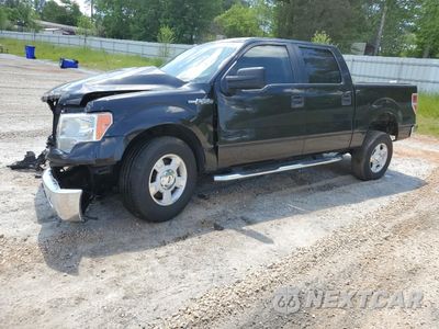 2014 FORD F150 SUPERCREW 1FTEW1CMXEKD50854 - główne zdjęcie licytacji z USA - miniatura