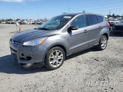 2013 FORD ESCAPE SEL 1FMCU9HX3DUB16164 - główne zdjęcie licytacji z USA - miniatura
