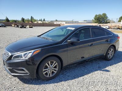 2016 HYUNDAI SONATA SE 5NPE24AF4GH358614 - główne zdjęcie licytacji z USA - miniatura