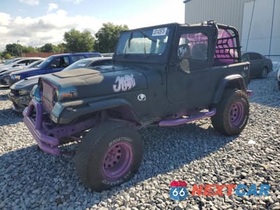 1993 JEEP WRANGLER / YJ 1J4FY29S7PP221206 - główne zdjęcie licytacji z USA - miniatura