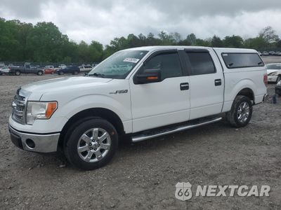 2013 FORD F150 SUPERCREW 1FTFW1CF6DFD08274 - główne zdjęcie licytacji z USA - miniatura