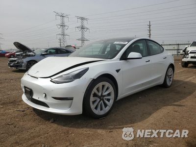 2021 TESLA MODEL 3 5YJ3E1EA6MF059194 - główne zdjęcie licytacji z USA - miniatura