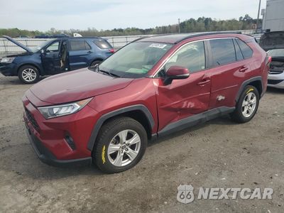 2019 TOYOTA RAV4 XLE JTMP1RFV3KD034965 - główne zdjęcie licytacji z USA - miniatura