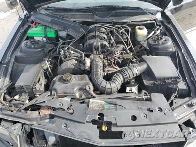 Zdjęcie 11 z 13 samochodu: 2005 FORD MUSTANG VIN:1ZVFT80N055143680 - miniatura