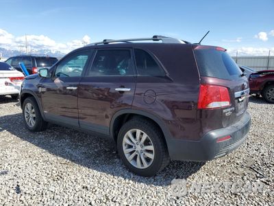 Drugie zdjęcie samochodu z przodu: 2011 KIA SORENTO BASE VIN:5XYKTDA29BG177263 - miniatura
