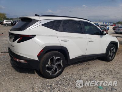 Trzecie zdjęcie samochodu z tyłu: 2022 HYUNDAI TUCSON SEL CONVENIENCE VIN:KM8JFCA17NU079643 - miniatura