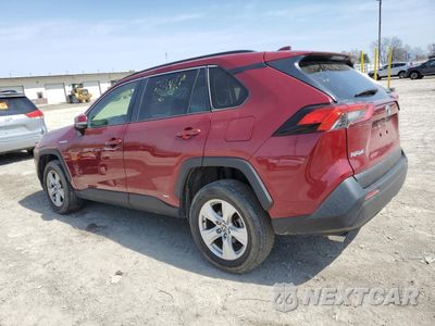 Drugie zdjęcie samochodu z przodu: 2021 TOYOTA RAV4 LE VIN:JTMM6RFV6MD509421 - miniatura