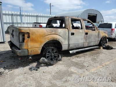 Trzecie zdjęcie samochodu z tyłu: 2014 FORD F150 SUPERCREW VIN:1FTFW1CT9EKE07251 - miniatura