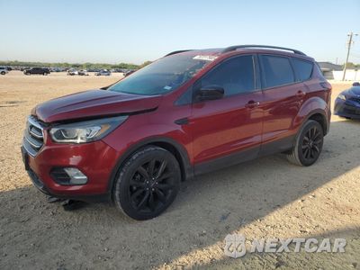 2019 FORD ESCAPE SE 1FMCU0GD6KUB77802 - główne zdjęcie licytacji z USA - miniatura