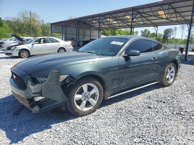 2015 FORD MUSTANG 1FA6P8AM0F5394994 - główne zdjęcie licytacji z USA - miniatura