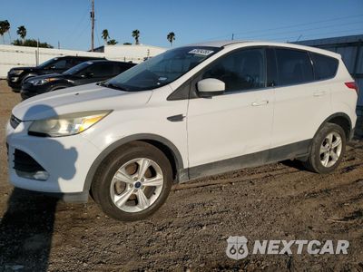 2014 FORD ESCAPE SE 1FMCU0GX9EUE14510 - główne zdjęcie licytacji z USA - miniatura