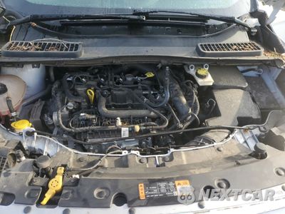 Zdjęcie 11 z 13 samochodu: 2019 FORD ESCAPE SE VIN:1FMCU0GD5KUB94784 - miniatura
